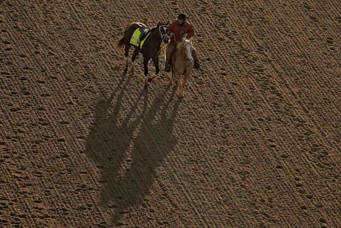 Kentucky Derby entrant Verifying is led by an outrider after he broke loose during a workout at Churchill Downs.